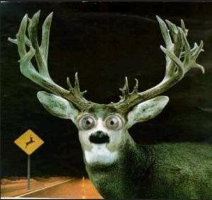 How to get more budgets for brand building