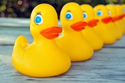 Edutainment style video makes it easy to get your ducks in a row.